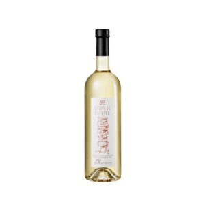 Grappa Barbera Ex Libris bottiglia etichetta visibile